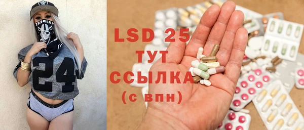 PSILOCYBIN Бородино
