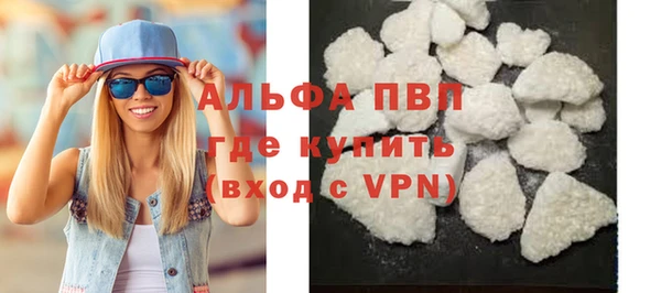 прущие грибы Бронницы