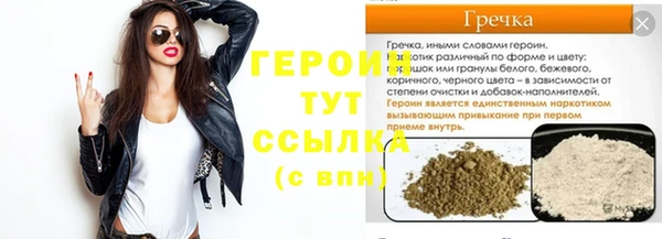 прущие грибы Бронницы