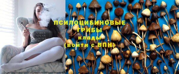 PSILOCYBIN Бородино