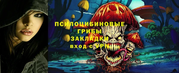 прущие грибы Бронницы