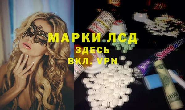 прущие грибы Бронницы