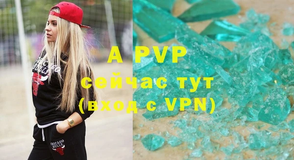 PSILOCYBIN Бородино
