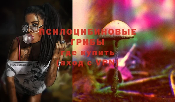 PSILOCYBIN Сосновый Бор
